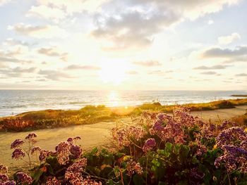 Scenic view of sea against sky during sunset
