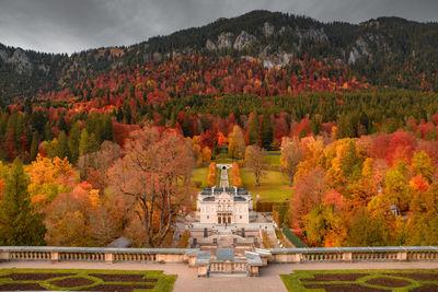 View of trees in park during autumn