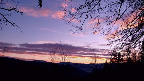 Low angle view of silhouette trees against dramatic sky