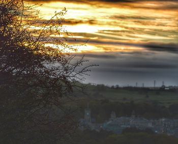 Scenic view of trees against sky during sunset