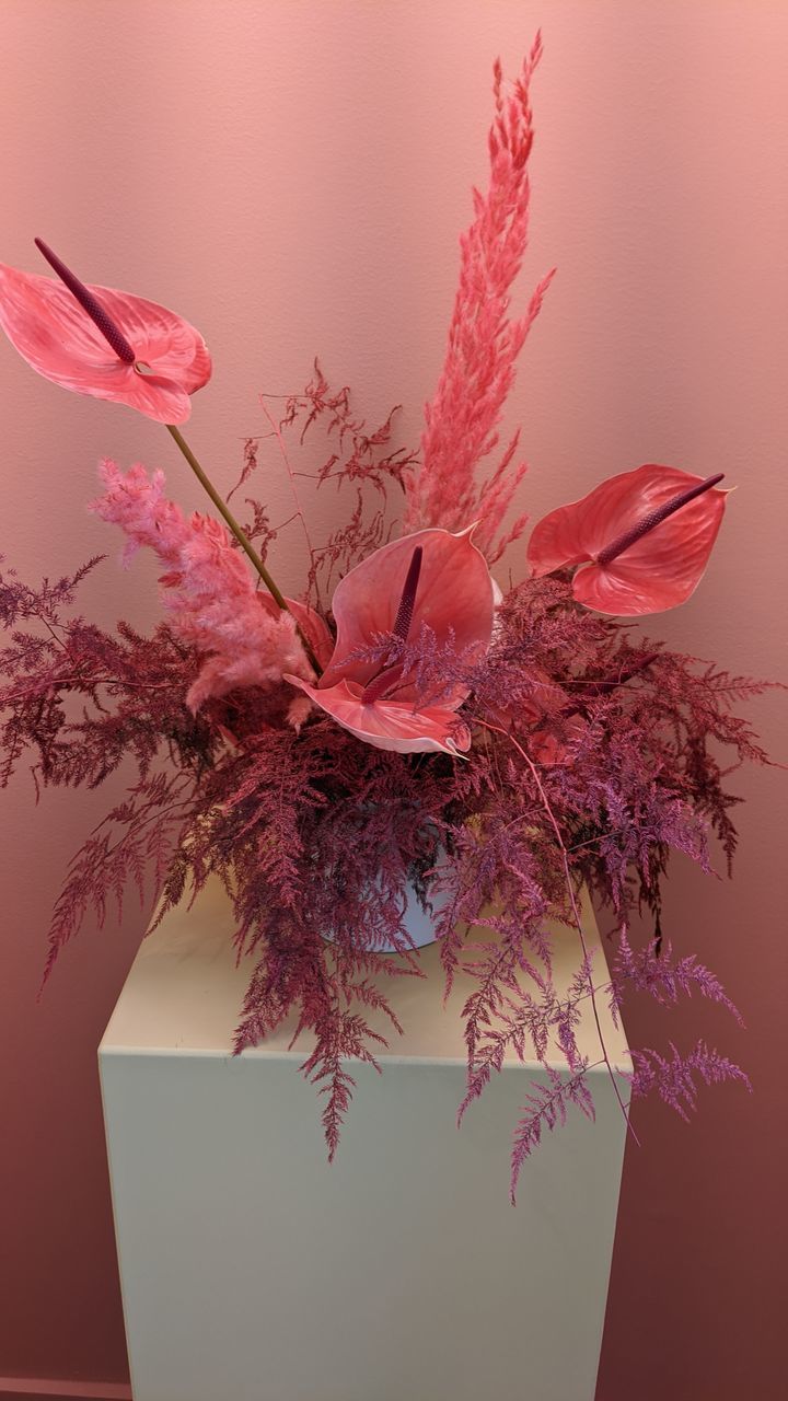 CLOSE-UP OF PINK ROSE FLOWER VASE AGAINST WALL