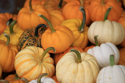 Full frame shot of pumpkins for sale at market stall