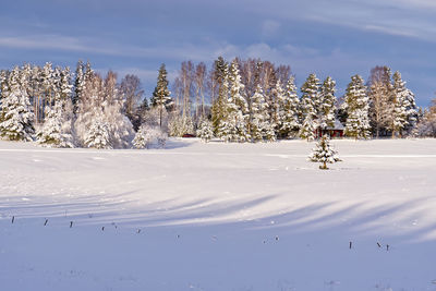 Scenic view of snow covered landscape