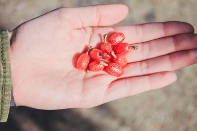Close-up of hand holding strawberry