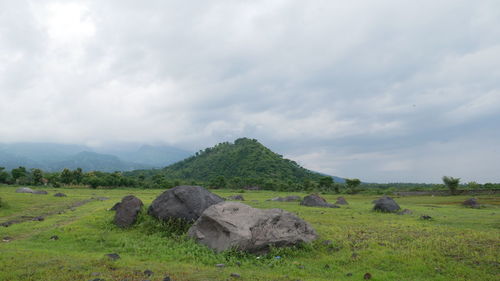 Savana tianyar, karangasem, bali, indonesia