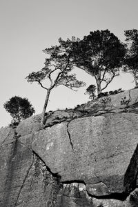 Low angle view of built structure