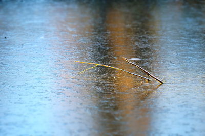 Scenic view of water during rainy season