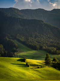 Scenic view of mountain in summer