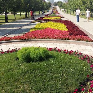 People walking on multi colored flowers