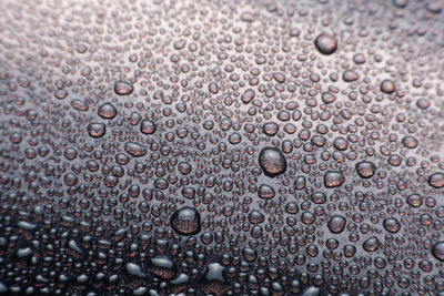 Full frame shot of raindrops on wet surface