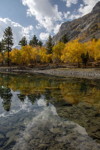 Scenic view of lake by trees against sky