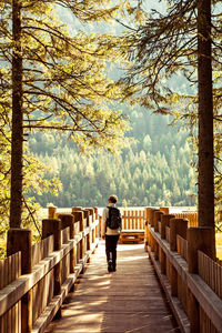 Rear view of man walking on footpath