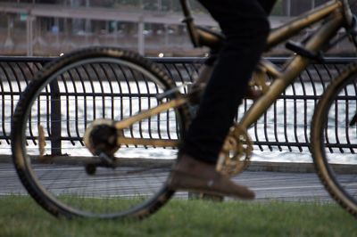 Full length of man with dog on bicycle