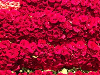 Full frame shot of red flower bouquet