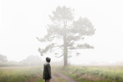 Side view of unrecognizable person in jacket with hood standing on footpath near grassy field and tall tree in misty weather person