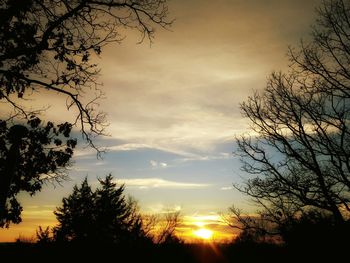 Silhouette of bare tree against sunset sky