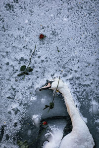 High angle view of hand on snow