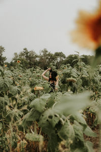 Young woman standing amidst sunflowers on field against sky