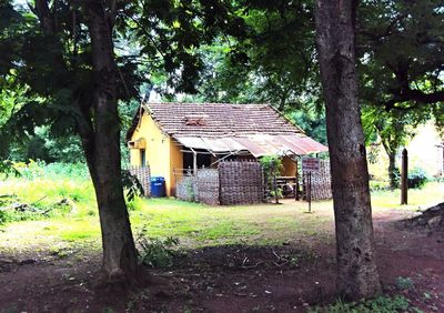 House on field against trees and building