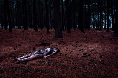 View of dog relaxing on field