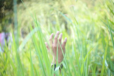 Close-up of hand on grass in field