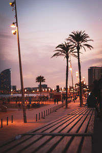 Palm trees on city street against sky at sunset