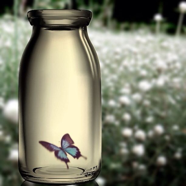 focus on foreground, close-up, flower, freshness, fragility, still life, plant, selective focus, day, glass - material, growth, food and drink, table, no people, nature, field, vase, stem, white color, transparent