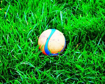 Close-up of ball on field
