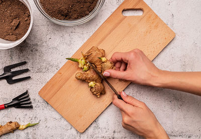 High angle view of person preparing food on cutting board