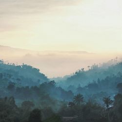 Scenic view of landscape against cloudy sky