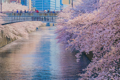 Bridge over river