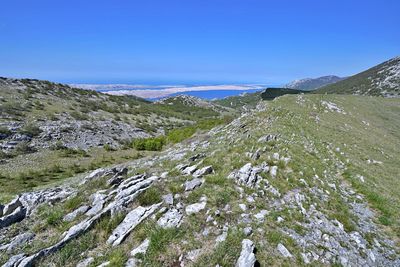 Scenic view of landscape against clear sky