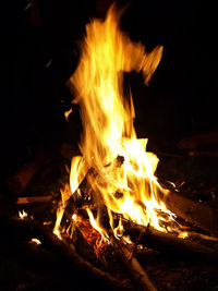 Close-up of fire at night