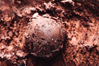 High angle view of ice cream in mud