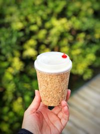 Close-up of hand holding ice cream