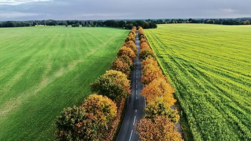 Scenic view of agricultural field against sky by drone