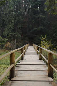 Wooden bridge to cross the lake synevyr in the forest in ukraine.