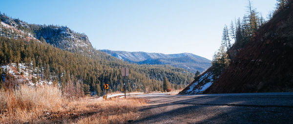 Road amidst trees in forest against clear sky