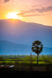 Scenic view of landscape against sky during sunset