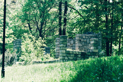 Trees and plants growing on field