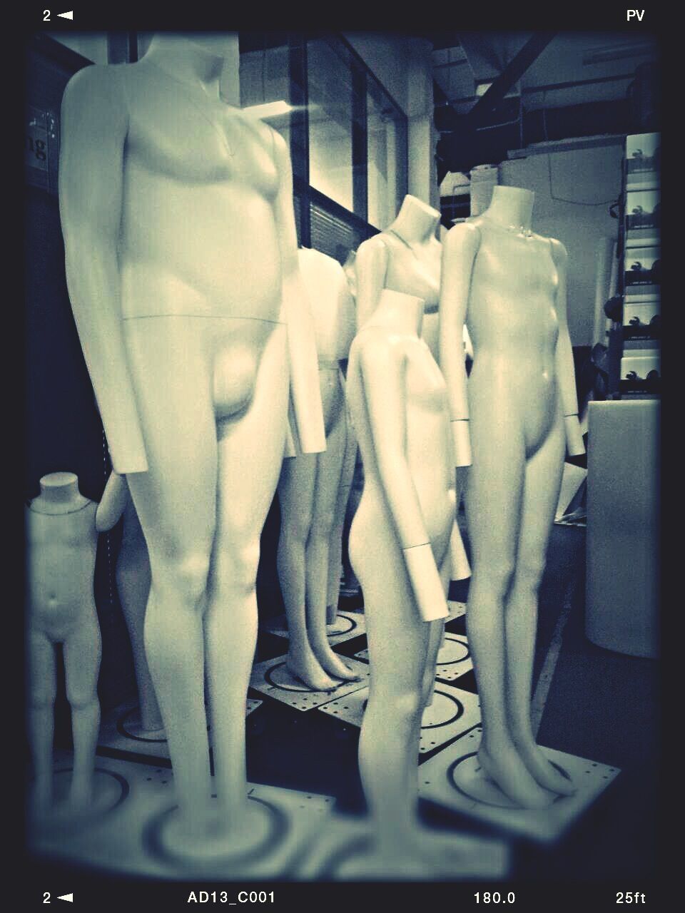 VIEW OF MANNEQUIN