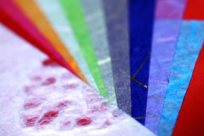 Close up of colorful flowers