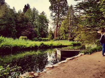 Scenic view of lake in forest