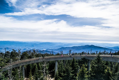 Bridge over trees against sky