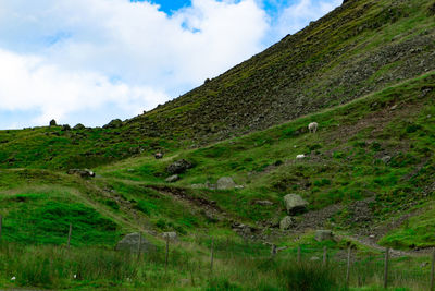 Landscape of green trees and hills in lake district national park area, united kingdom