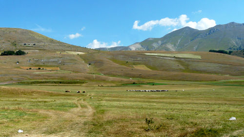 Castelluccio is a magical place where the gaze can wander and the soul can breathe