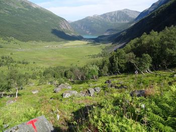 Scenic view of field against mountains