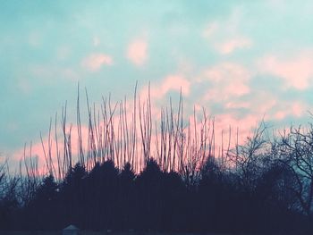 Scenic view of pink sky during sunset