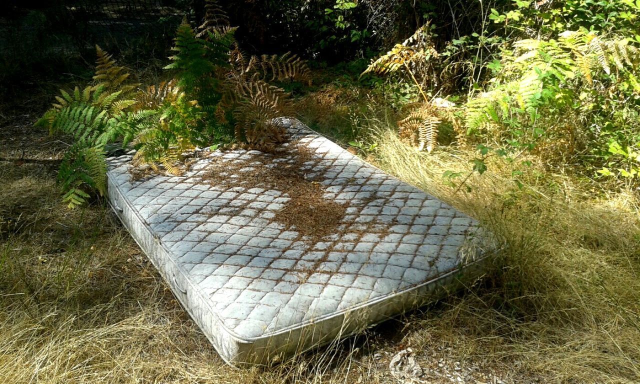 Abandoned mattress