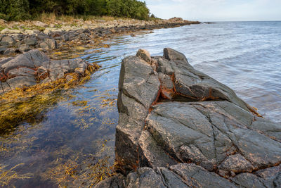 Scenic view of rocks on beach against sky